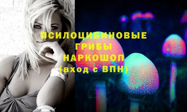 гашиш Заводоуковск