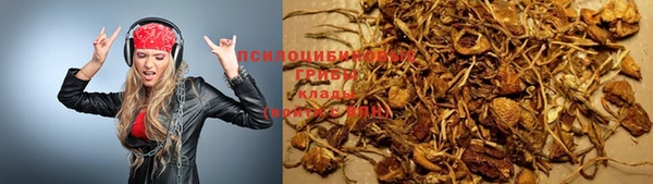 гашиш Заводоуковск