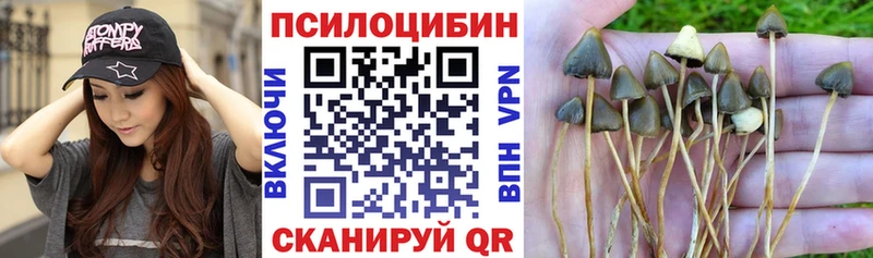 Галлюциногенные грибы мухоморы  Купить  Данков 